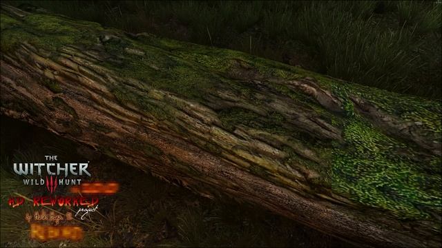 Upcoming new The Witcher 3 HD Reworked Project - short preview смотреть онлайн