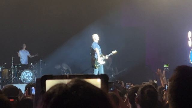 Simple Plan - Jeff Stinco guitar solo смотреть онлайн