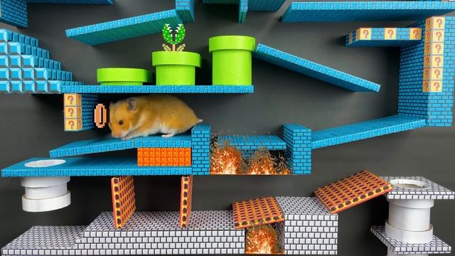 Super Mario Hamster Bros Maze ? Cardboard maze with traps Hamsters Show смотреть онлайн