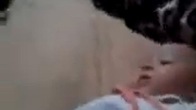 тает лед, все дети любят грибы))))) смотреть онлайн