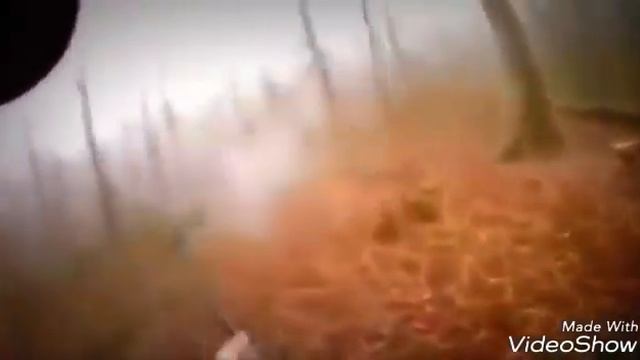 ТОП 10 ХАРДКОР ОХОТА НА КАБАНА. смотреть онлайн