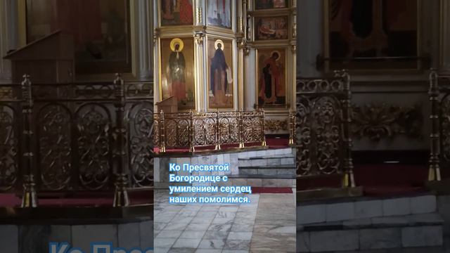 Ко Пресвятой Богородице с умилением сердец наших помолимся. #Богоявленский #собор #Богородск смотреть онлайн