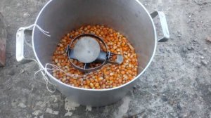 Самая эффективная отрава для крыс!!!.