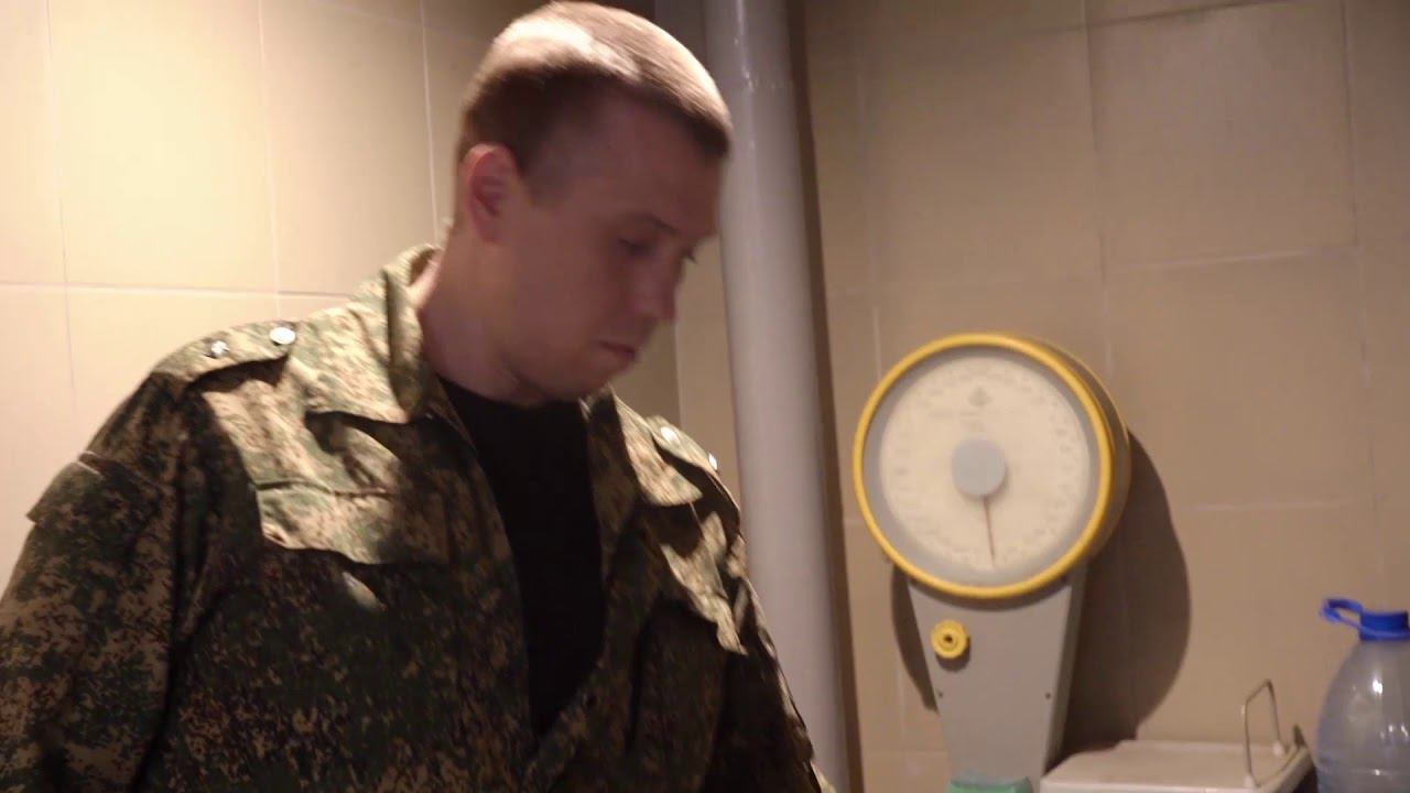 SVOexcursion. Экскурсия в кинологический отдел Шереметьевской таможни. смотреть онлайн