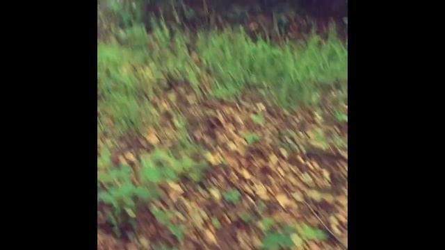 The Donaldson Clan | Our first video | THE PAUSE CHALLENGE смотреть онлайн