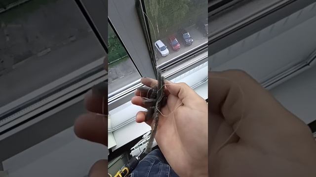 Колхоз утепление окна #секретыоконщика