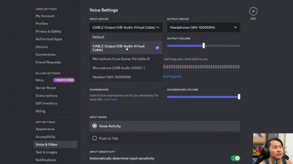 How to Connect AI Voice to Discord or Other Apps (RVC & w-okada)