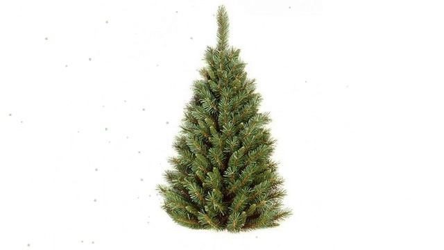 Искусственная елка настенная ТИФФАНИ (National Tree Co) 91см обзор 31TF30HT/TF-30HT смотреть онлайн