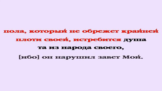 Видеобиблия. Бытие. Глава 17 смотреть онлайн