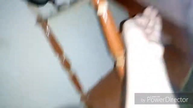 Шиншиллята купаются смотреть онлайн