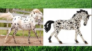 Лошадки шляйх и настоящие лошади. Сравнение