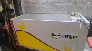 Какой купить инкубатор для яиц. Рекомендации начинающим, проверено временем!