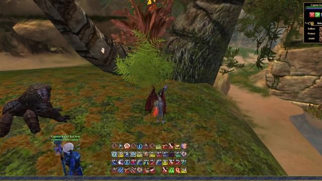 Everquest 2: Renewal of Ro Beta: Timeline Side Quests смотреть онлайн