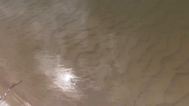 Открытие купального сезона смотреть онлайн