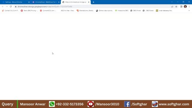 WA Sender Chrome Driver Error "your Chrome Driver and Google Chrome Version is not same" ||Fixed|| смотреть онлайн