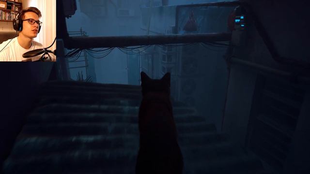 Я стал котом | Stray смотреть онлайн