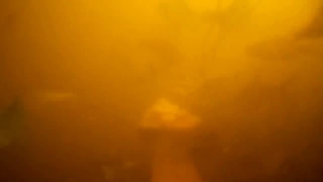 Вот от чего вся рыба дуреет! Если бы не это видео не один рыбак бы не поверил! Реакция рыбы на квас смотреть онлайн