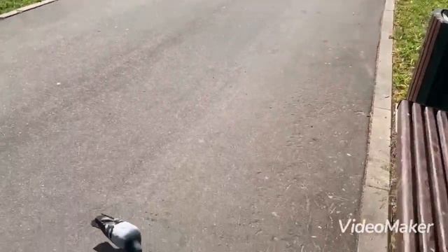 СЛАВЯНСКИЙ ПРАЗДНИК КУПАЛА ДЕНЬ СОЛНЦЕСТОЯНИЯ 21 июня самый длинный день в году самая короткая ночь смотреть онлайн