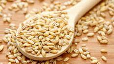 Самая уловистая перловка для рыбалки.