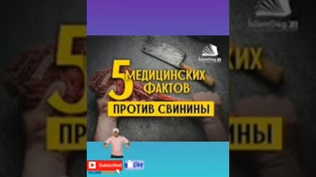 Всем мусульманам и христианам и июдиям Вот почему нельзя есть Свинину#свининимясо#Харам смотреть онлайн