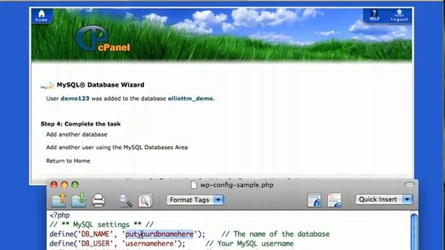 AdelinaHost.com - How to install CMS WordPress to Web Hosting смотреть онлайн