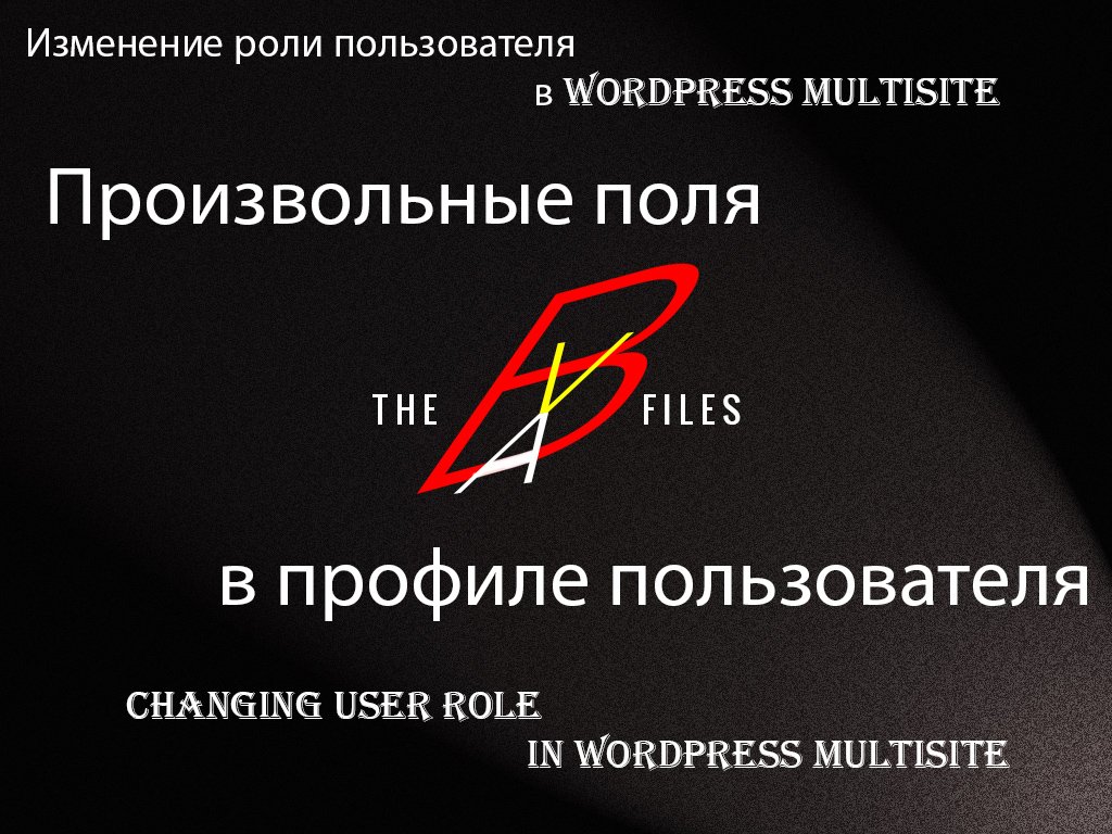 Изменение роли пользователя в WordPress multisite смотреть онлайн