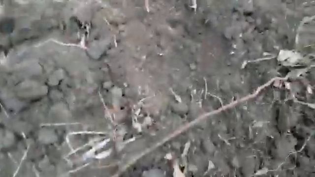 ХОДИЛ ИСКАТЬ СЕРЕБРО А НАШОЛ ЕТО !!!!!!!!! КОП С GARET ACE 400i смотреть онлайн