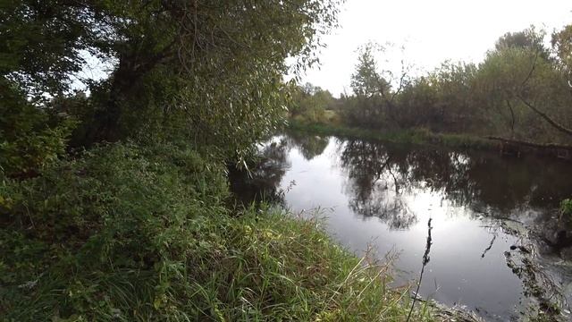 Лунный календарь огородника и садовода на 6 октябрья 2022 г смотреть онлайн