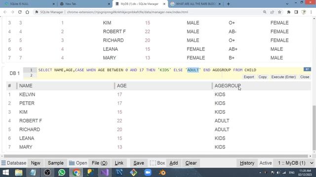 SQLite Tutorial Part 39 - CASE Statement смотреть онлайн