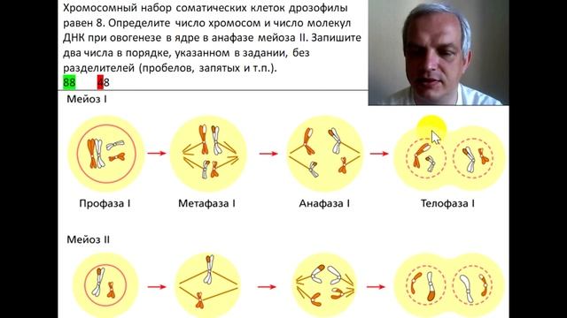 Видео-объяснение для Биоробота смотреть онлайн