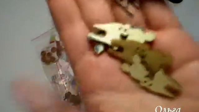 Закупка алиэкспресс. Пуговицы и бусины от 15 февраля 2016 смотреть онлайн