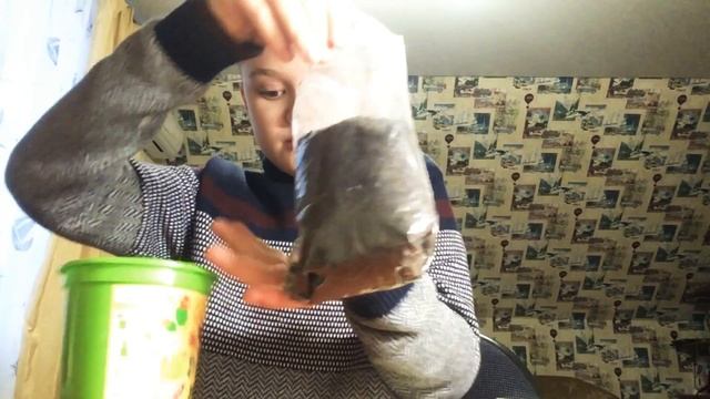 Выращиваю кактус егоза от happy plant часть 1 смотреть онлайн