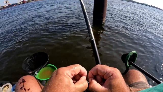 Как зачемпионить на соревнованиях - чуй, нюх и поня..., отчёт Но 188