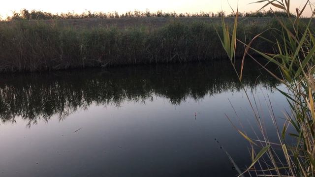 А МЫ НАКОНЕЦ-ТО ТАКИ НА РЫБАЛКЕ! ХОРОШО ,ЧТО ВЫБРАЛИСЬ! НЕ ПОЖАЛЕЛИ!!! смотреть онлайн