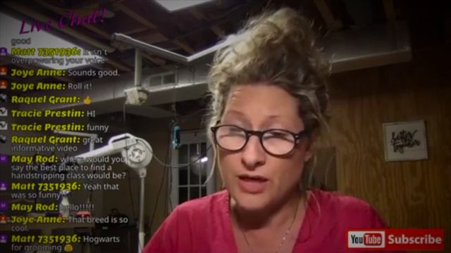 Hand-Stripping Dogs-Clip or Strip? смотреть онлайн