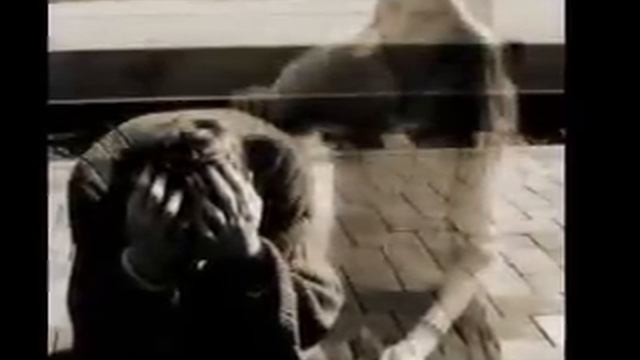 Снежная Ночь. смотреть онлайн