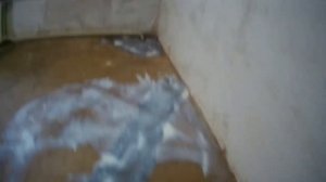 Гидроизоляция и наливной пол.