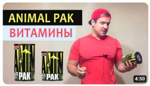 Animal pak как принимать витамины. Обзор на энимал пак, состав, отзывы, для чего и какой эффект