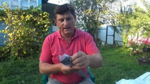 Газонокосилка Champion LM5345BS. Ремонт привода своими руками.