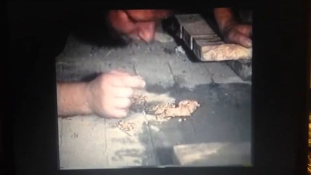 Сладкий хлеб смотреть онлайн