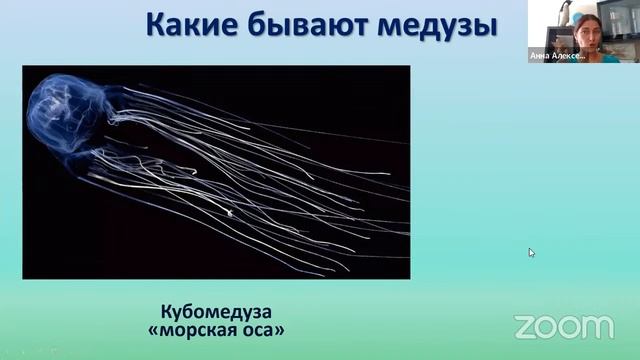 Биология с Анной Алексеевной. Занятие 2. "Морская биология. Родственники кораллов" смотреть онлайн