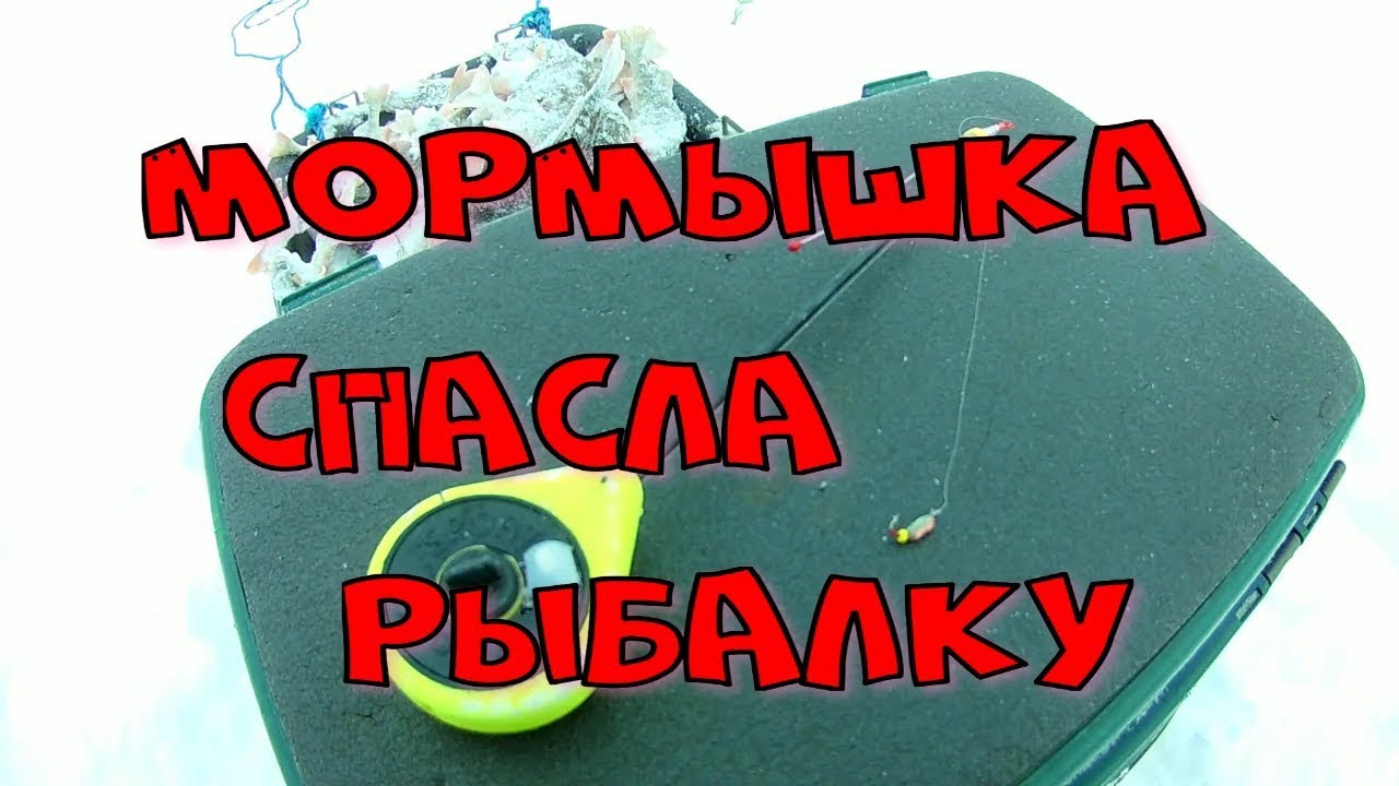 МОРМЫШКА спасла РЫБАЛКУ.mp4 смотреть онлайн