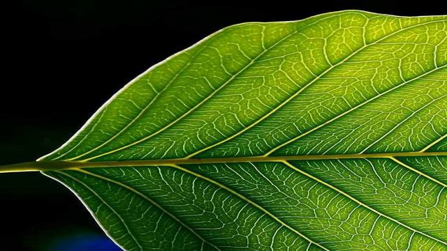 Пестициды смотреть онлайн