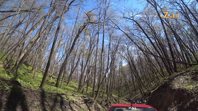 Едем на дачу. Деревья падают. смотреть онлайн