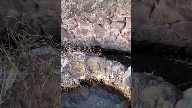 Сосновка Кыргызстан смотреть онлайн