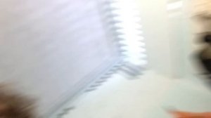 Я месяц прогуливал школу и вот что из этого получилось