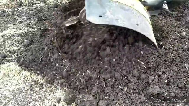 утро городских колхозников смотреть онлайн