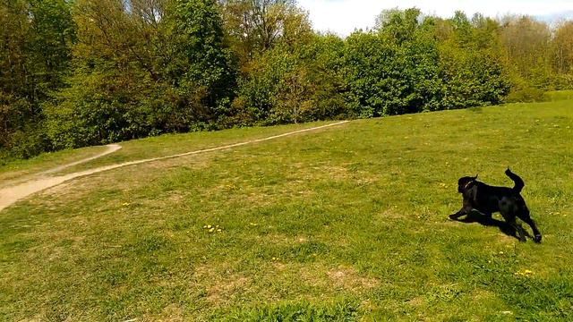 Наш дом в Праге смотреть онлайн