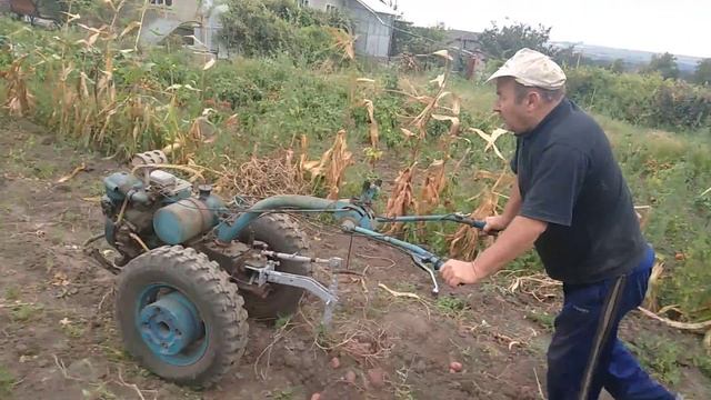 V. Ursuleac 27/08/2018. Уборка картошки с 5 соток смотреть онлайн