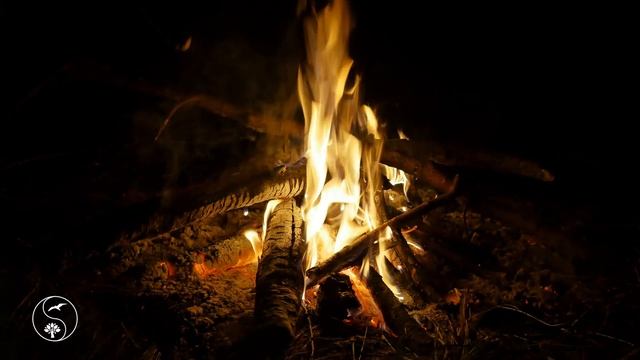 ДУШЕВНЫЙ КОСТЕР в летнюю ночь ? ? Горят дрова - ЗВУКИ ОГНЯ и ЗВУКИ ПРИРОДЫ помогут Oтдохнуть ? смотреть онлайн